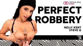 Perfect Robbery - Sexy Breaking and Entering