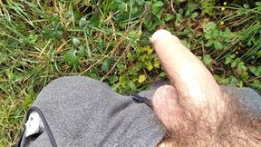 The Horny Stepfather Went on a Hike, When He Took Out His Bonita Cock a Tick Fell on His Cock
