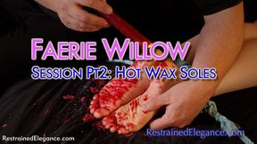 Faerie Willow's Bastinado Session Part Two: Hot Wax (VID0813B, 1080p MP4)