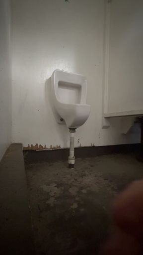 Public Urinal Piss and Play