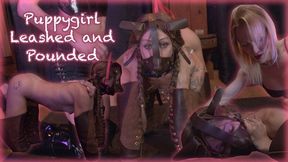 Mistress Elizabelle Dixie trains and fucks PuppyGirl Variety Itsol session: two