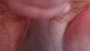 Hairy Ass licking, asshole fingering and cock playing