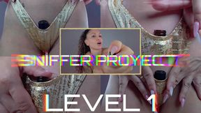 Sniffer Project Level 1