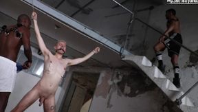 Limited at Their Grace, Ollie’s Joyous Indignity