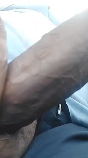 Hot Indian Cock