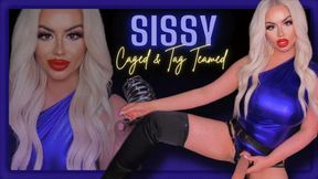 Closet Sissy, gets Caged & Tag Teamed With My Trans BFF (480 MP4)