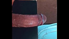 Ezsosa - update #4 - 1000005520 - Apr 13, 2024