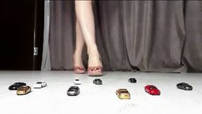 Your Car Collection(small version)