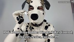POV: Dalmatian Rubber Hinako Takes Control; Chastity Series, Episode 40