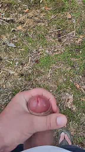 In the forest