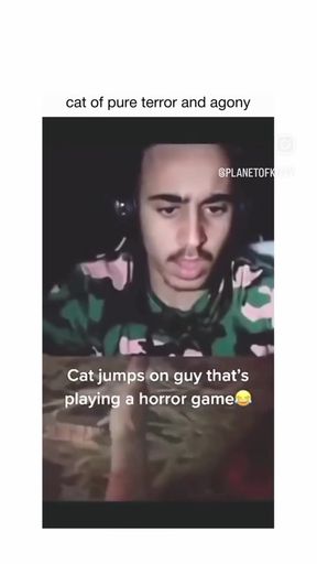 Cat of terror and agony