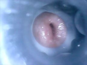 CD Mitch Inside Cum