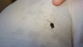 Think Anyone Will Notice WET HAIRY PUSSY? ** FREE FULL LENGTH VIDEO** Content Now @ ManyVids OF