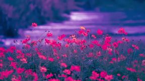 New Bangla Choti Golpo 2025