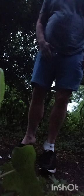 Strip and cum along footpath