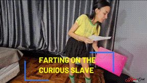 FARTING ON THE CURIOUS SLAVE - BY VERONICA LINS - FULL VERSION IN FULL HD - NEW KC NOVEMBER 2025