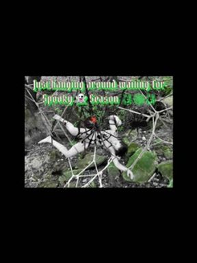 🕸️🕷️🕸️Spooky Season Shibari Suspension 🪢 Suzy Wylde’s suspended outside by DavesShibari 🪢