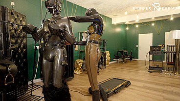 Rubber Pony Play: Bridle up and Training on the treadmill