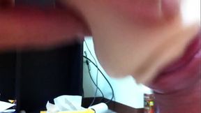 IMG 0029[1].MOV