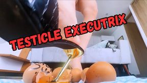 EXECUTRIX OF YOUR BALLS