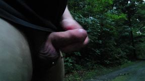 Cumshot on the way