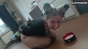 sexy kitty eats from a bowl and licks her master s feet - lovessie