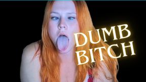 Dumb Bitch