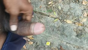 Tamil boy enjoying village forest