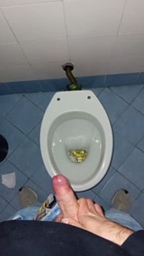 a young guy went into a dirty public toilet to pee and jerk off