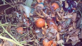 Tiny Trash