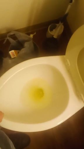 Pissing compilation video