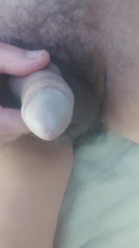 Plug and penis