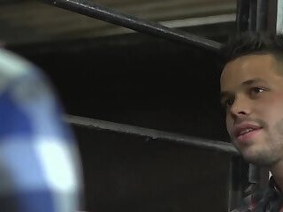 jake steeven and kevin david