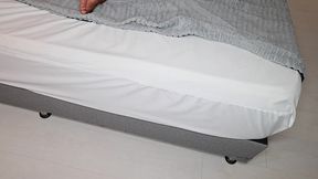 amanda rabbit loves to be on top