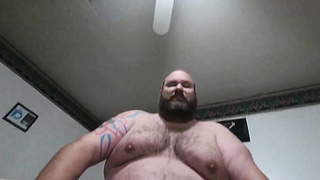 Big hairy Bear 8