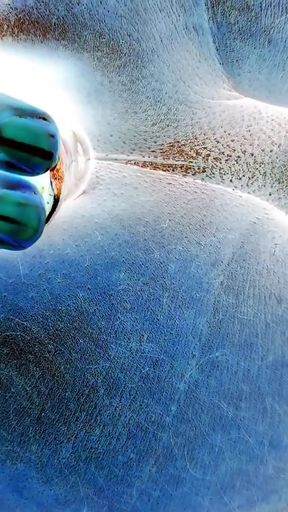 Negative Video of Ass Butt plug on bed Brown ASS   Clip 2