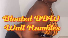 BBW Long Farts – Stained Wall Fetish – Audio Focus