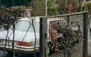 Vintage group from tabu vintage