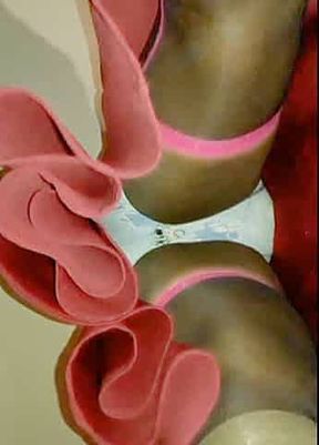 BlueGirl70 Super Wide Thighs Upskirt