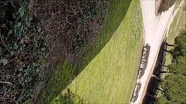 PUBLIC BLOWJOB IN THE PARK