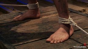 Wilfried Knight - Leo Forte's Dream Comes True