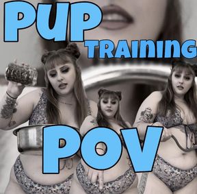 Pup Training POV