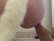 PREVIEW - Trans Pup Has Accident