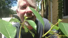 Tiny Stepson Needs Rescue from a Tree by Giant Stepdad - Richard Lennox - Manpuppy's Giant Invasion
