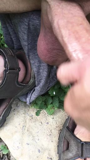 Big Cock Short Forest Cum