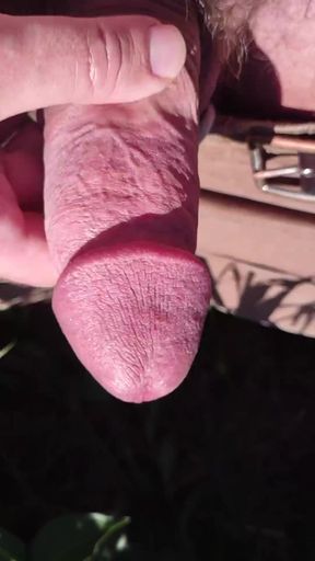 Thick uncut big dick gets jerked off in a solo scene