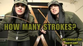 Interrogation Bootcamp POV 13 – How Many Strokes