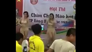 thi chim mới nhất thế n&agrave_y th&igrave_ chim h&oacute_t c&atilde_ ng&agrave_y
