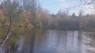 Risky Public Handjob with Cumshot at Lake