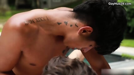 Jacob Acosta And Noah Fox  American  British  German  Asian  Canadian  Swiss  Australian  Spanish  French  Italian  Belgian  Norwegian  Swedish  Dutch  Danish  Finnish